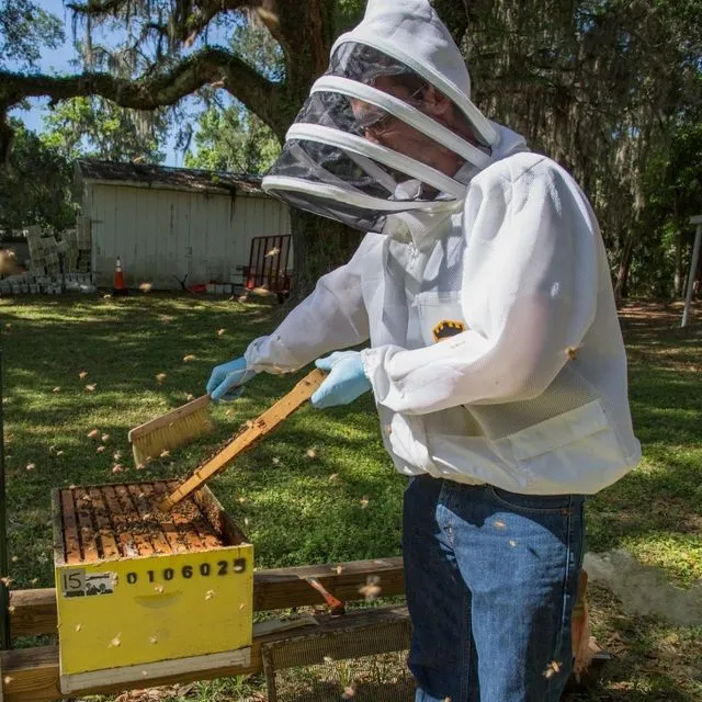 thumbnail for publication: Welcome to the Apiary! Honey Bee 4-H Project Book